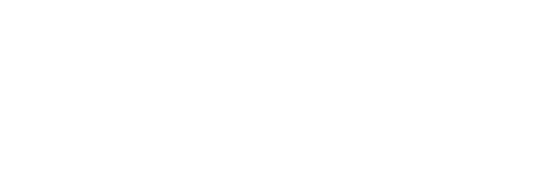 Logo ZEPOL